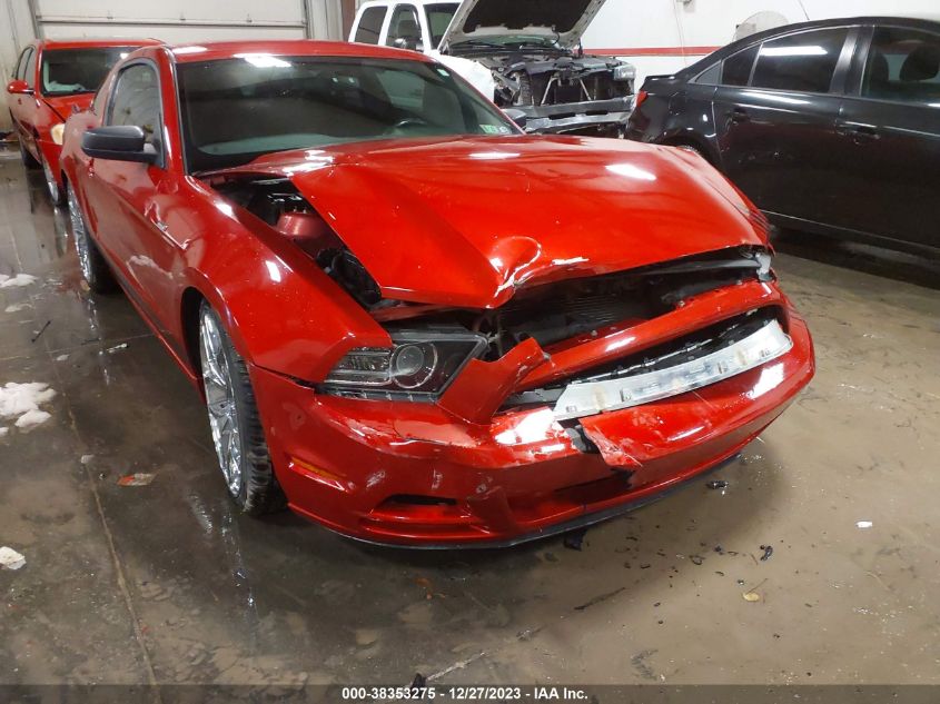 2013 FORD MUSTANG V6 - 1ZVBP8AMXD5220207