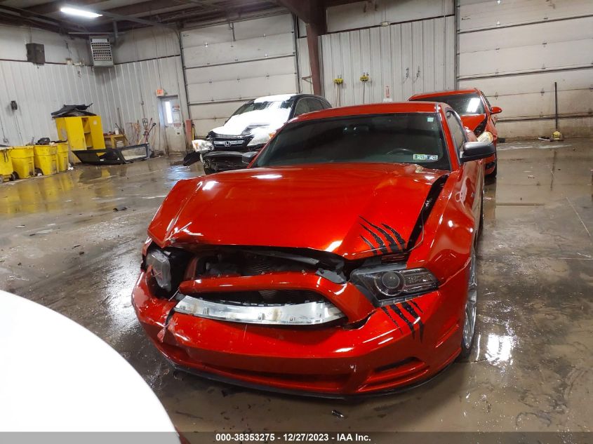 2013 FORD MUSTANG V6 - 1ZVBP8AMXD5220207