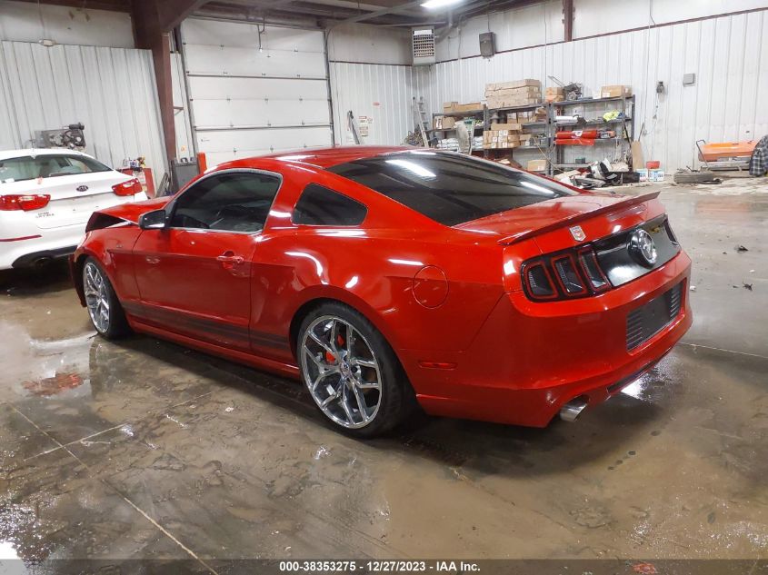 2013 FORD MUSTANG V6 - 1ZVBP8AMXD5220207