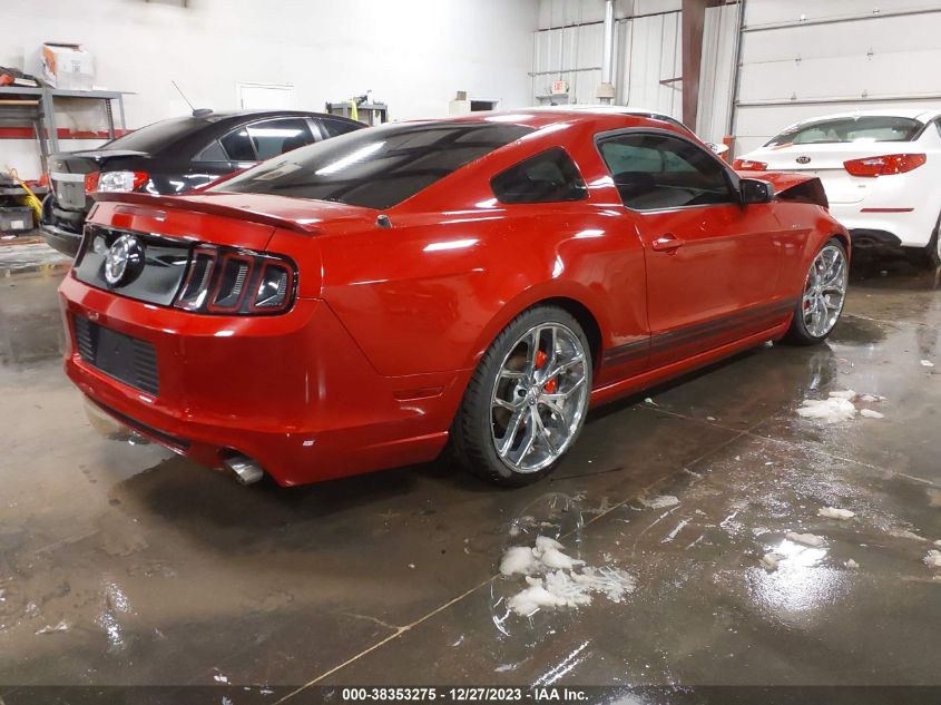 2013 FORD MUSTANG V6 - 1ZVBP8AMXD5220207