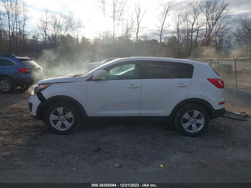 2013 KIA SPORTAGE LX - KNDPBCA25D7504535