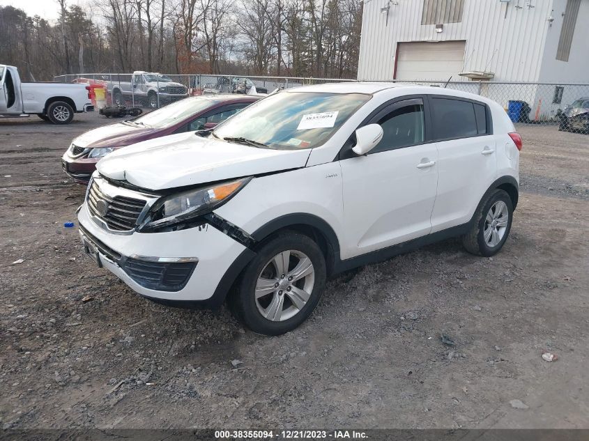 2013 KIA SPORTAGE LX - KNDPBCA25D7504535