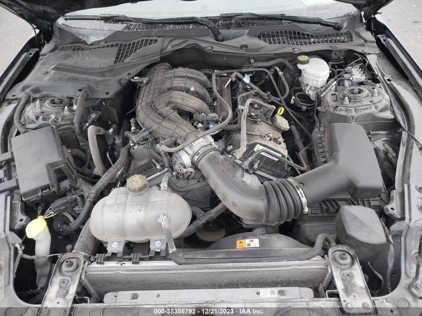 VIN 1FA6P8AMXH5343568 2017 FORD MUSTANG