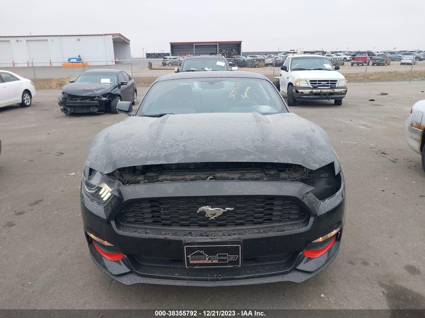 VIN 1FA6P8AMXH5343568 2017 FORD MUSTANG