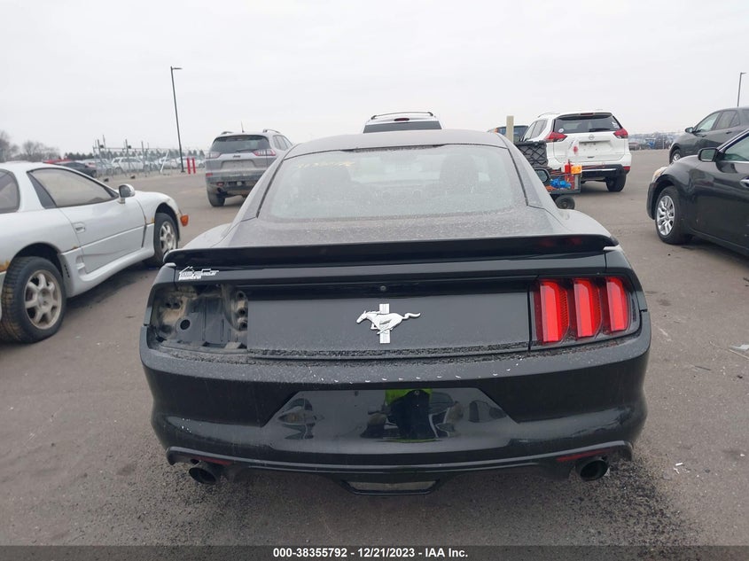 VIN 1FA6P8AMXH5343568 2017 FORD MUSTANG