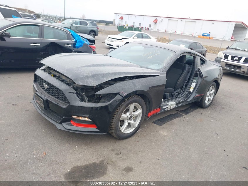 VIN 1FA6P8AMXH5343568 2017 FORD MUSTANG
