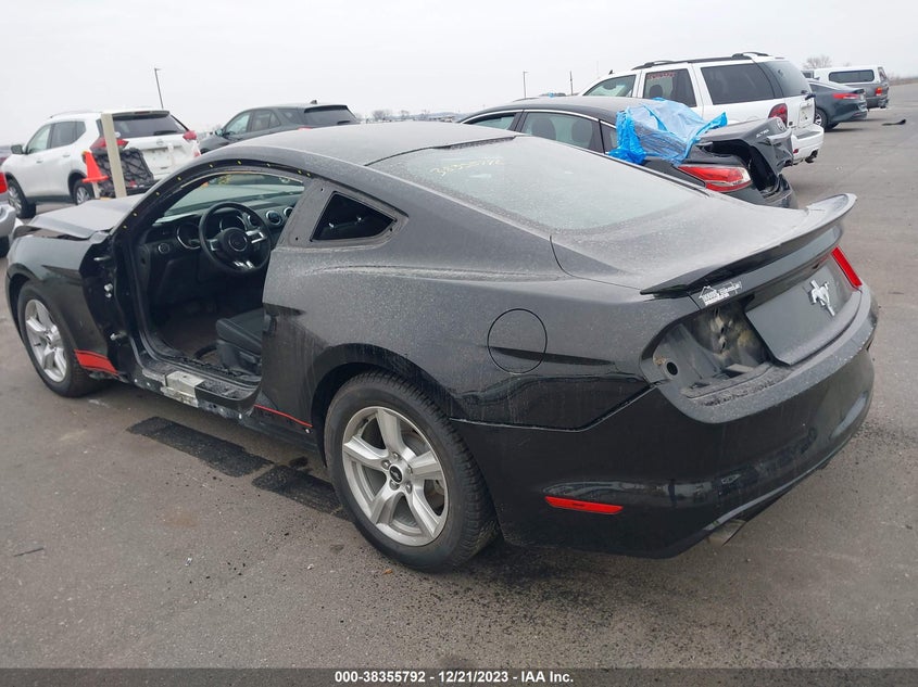 VIN 1FA6P8AMXH5343568 2017 FORD MUSTANG