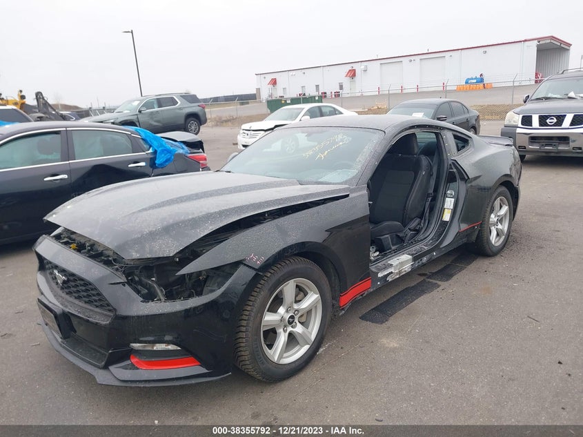 VIN 1FA6P8AMXH5343568 2017 FORD MUSTANG