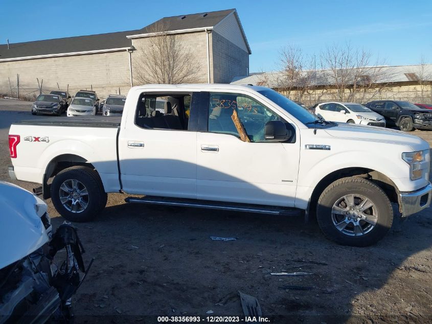 2015 FORD F-150 XLT - 1FTEW1EPXFFC38153