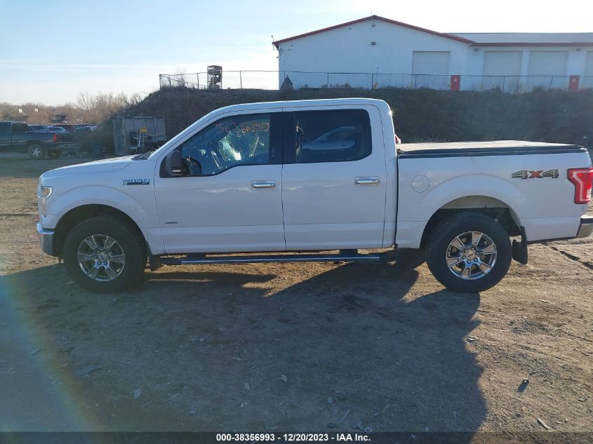 2015 FORD F-150 XLT - 1FTEW1EPXFFC38153