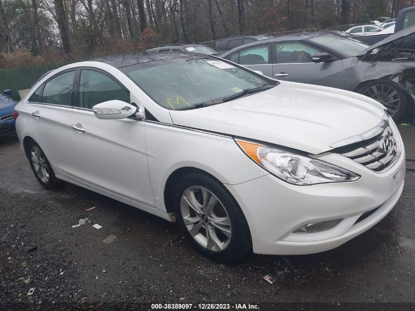 2013 HYUNDAI SONATA LIMITED - 5NPEC4AC6DH624522