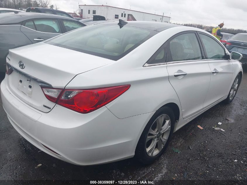 2013 HYUNDAI SONATA LIMITED - 5NPEC4AC6DH624522