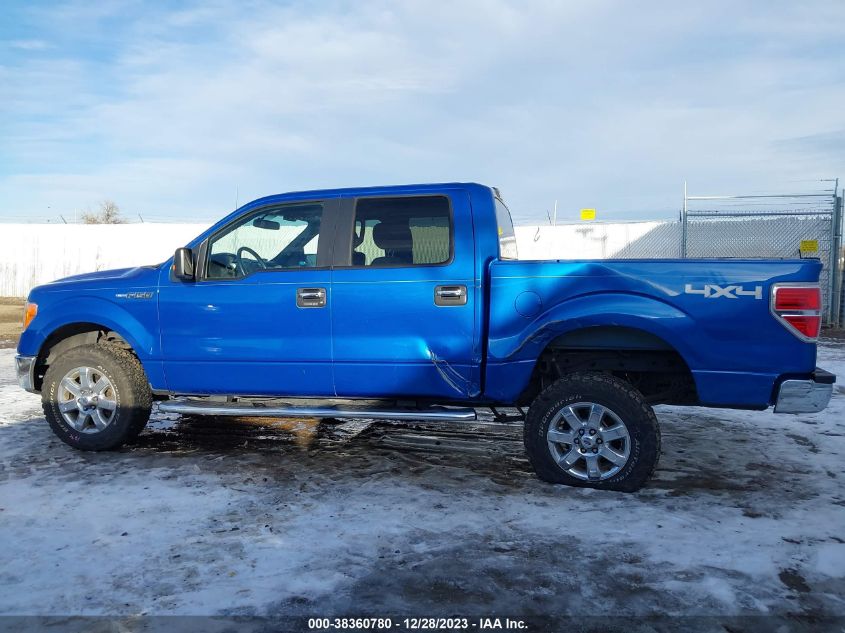 2014 FORD F-150 XLT - 1FTFW1EF5EKF53265