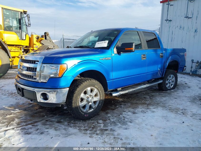 2014 FORD F-150 XLT - 1FTFW1EF5EKF53265