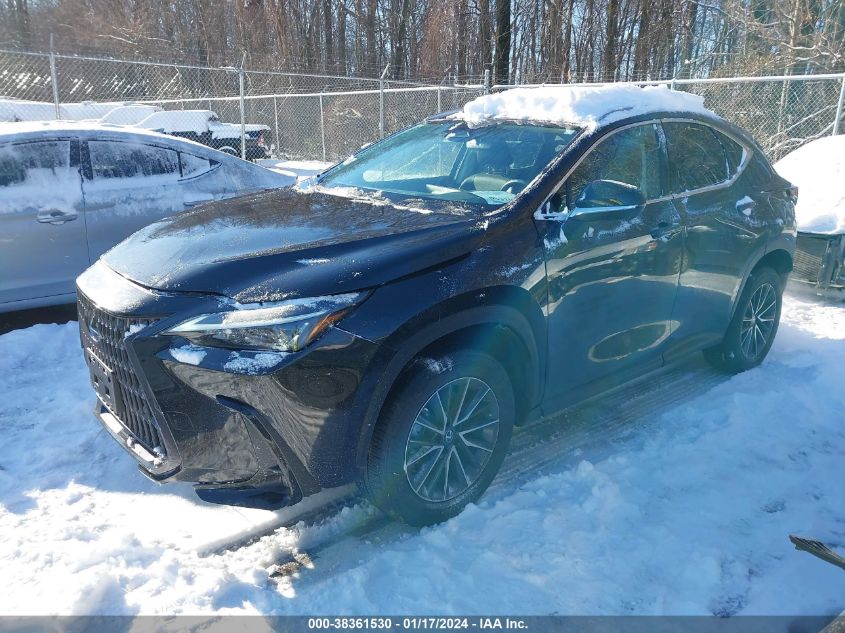 2022 LEXUS NX 350 350 2T2GGCEZXNC011342
