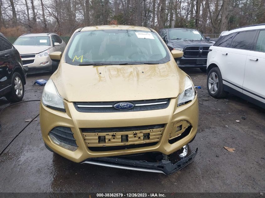 2014 FORD ESCAPE SE - 1FMCU0GX1EUC05486