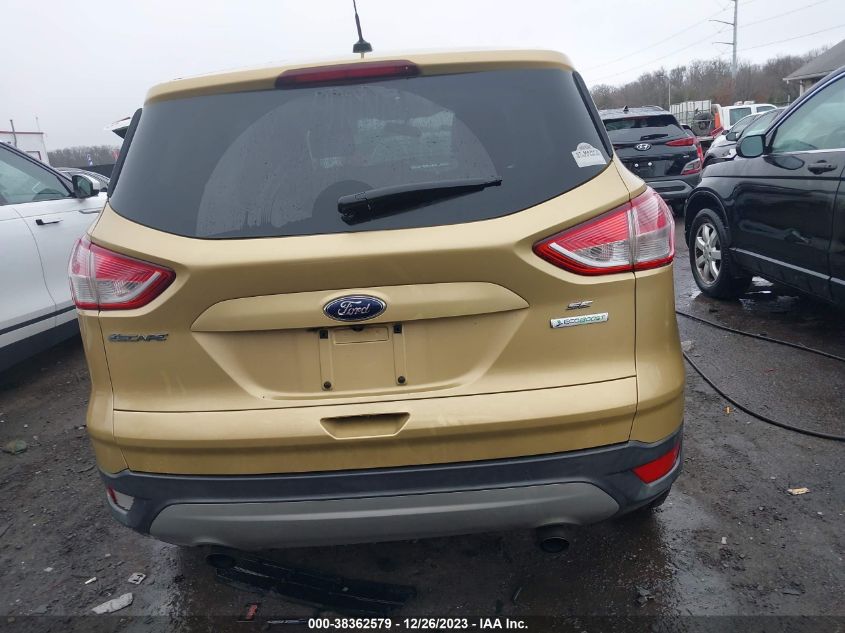 2014 FORD ESCAPE SE - 1FMCU0GX1EUC05486