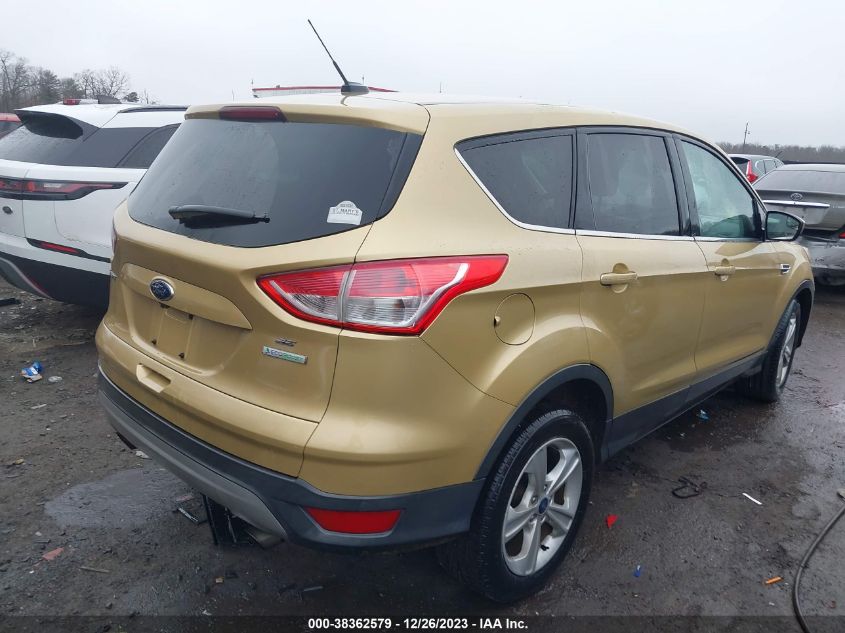 2014 FORD ESCAPE SE - 1FMCU0GX1EUC05486