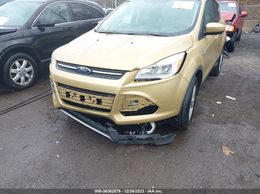 2014 FORD ESCAPE SE - 1FMCU0GX1EUC05486