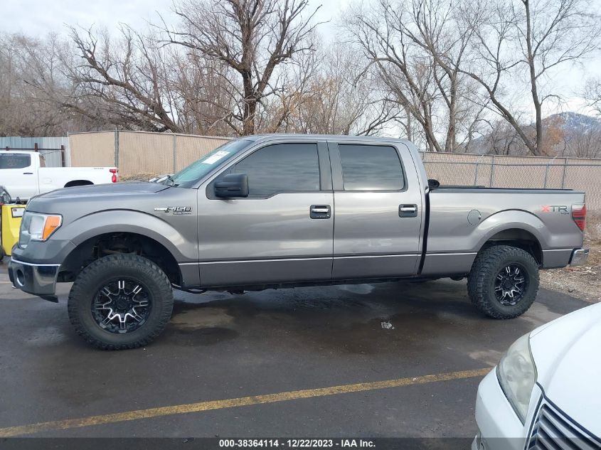 2014 FORD F-150 XLT - 1FTFW1EF5EKF83950