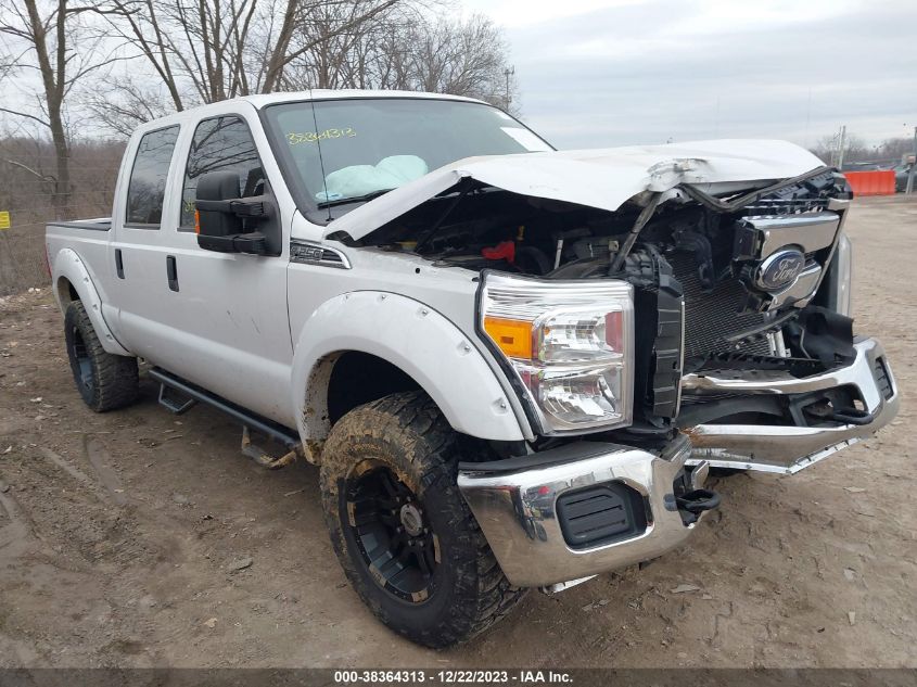 2014 FORD F-250 SUPER DUTY - 1FT7W2B69EEA34118