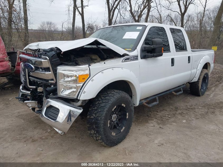 2014 FORD F-250 SUPER DUTY - 1FT7W2B69EEA34118