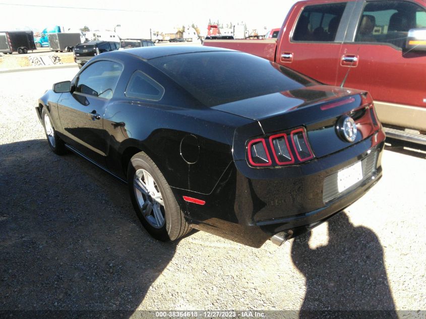 2014 FORD MUSTANG - 1ZVBP8AM1E5228746