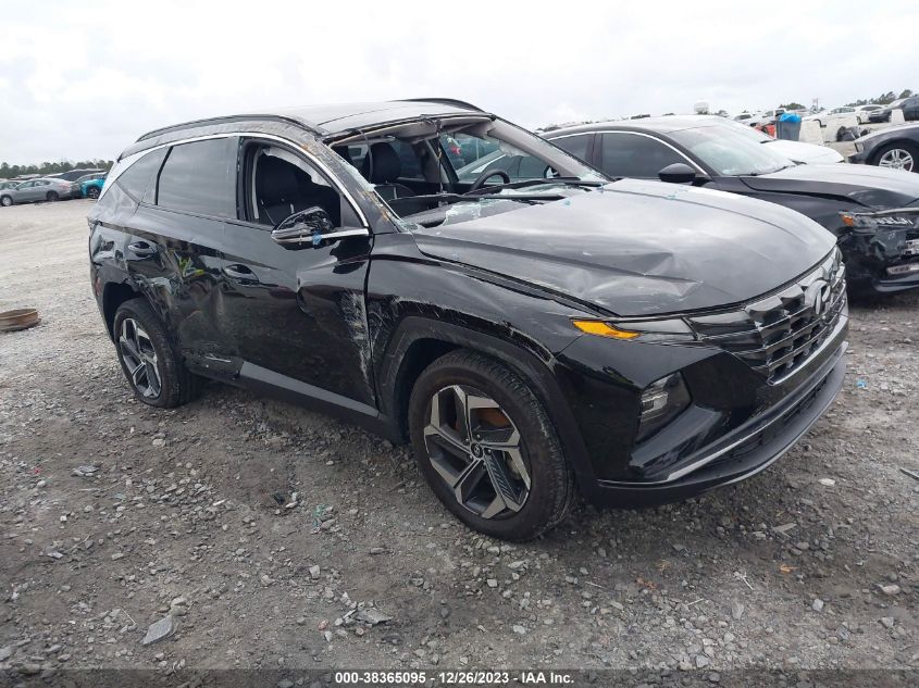 Lot #2564311672 2023 HYUNDAI TUCSON LIMITED salvage car