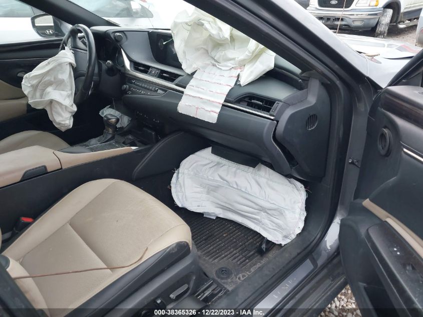 2019 LEXUS ES 350 - 58ABZ1B11KU012703