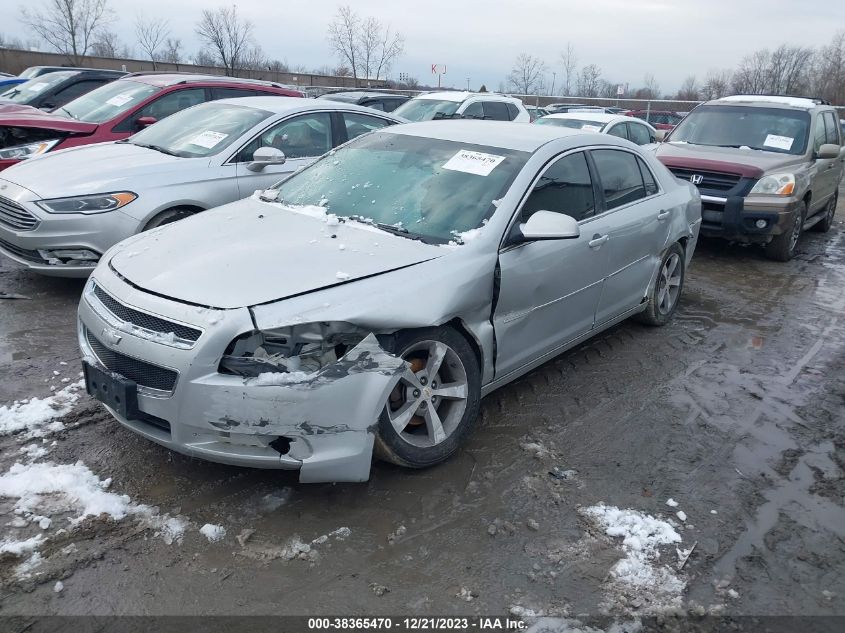 1G1ZC5EU0BF303294 | 2011 CHEVROLET MALIBU