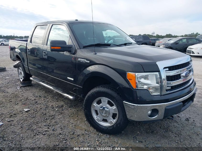 2013 FORD F-150 XLT - 1FTFW1ET7DFD04155