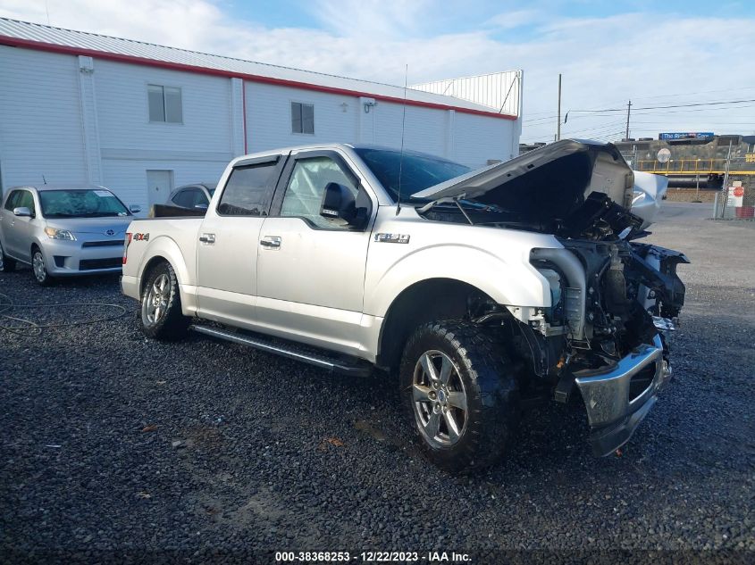 2019 FORD F-150 XLT - 1FTEW1EP1KFC40030