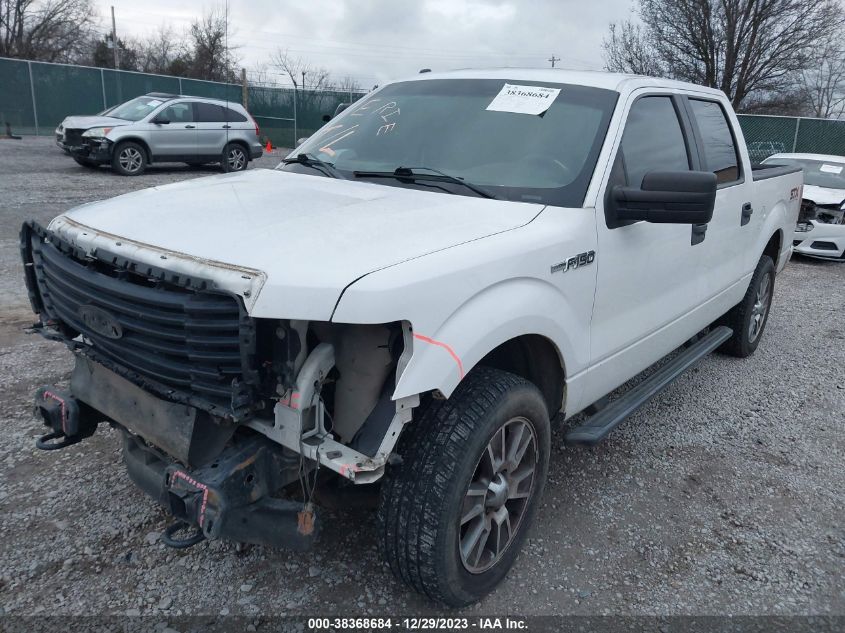 2014 FORD F-150 STX - 1FTFW1EF2EKE38946