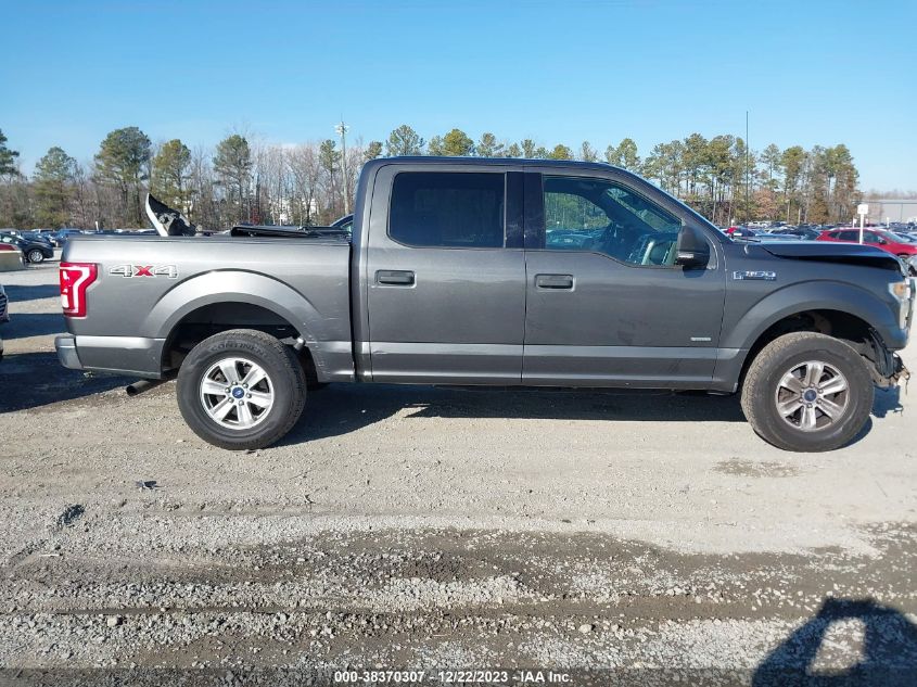 2015 FORD F-150 XLT - 1FTEW1EP1FFB95905
