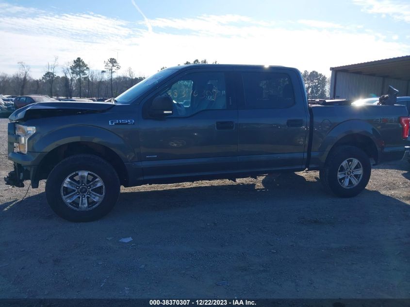 2015 FORD F-150 XLT - 1FTEW1EP1FFB95905