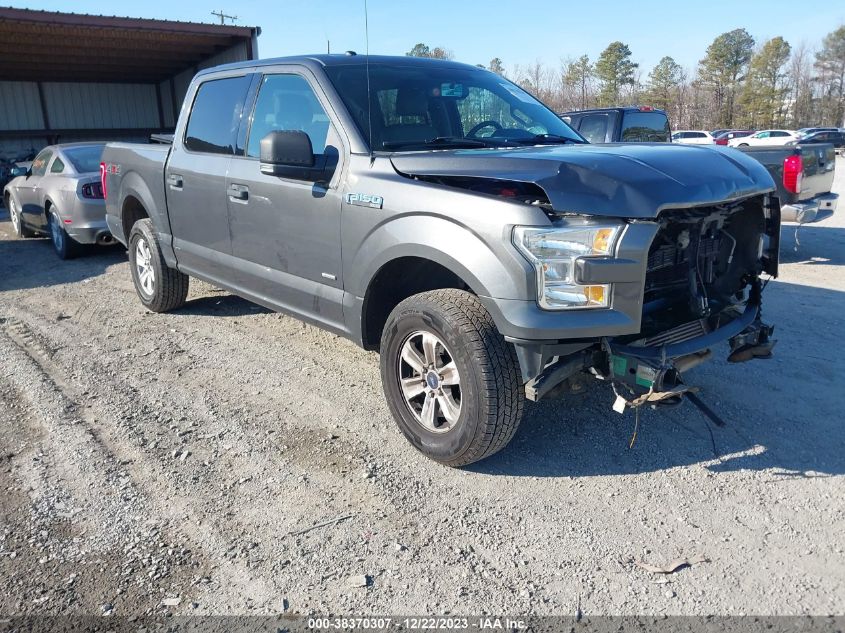 2015 FORD F-150 XLT - 1FTEW1EP1FFB95905