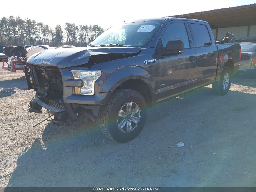 2015 FORD F-150 XLT - 1FTEW1EP1FFB95905