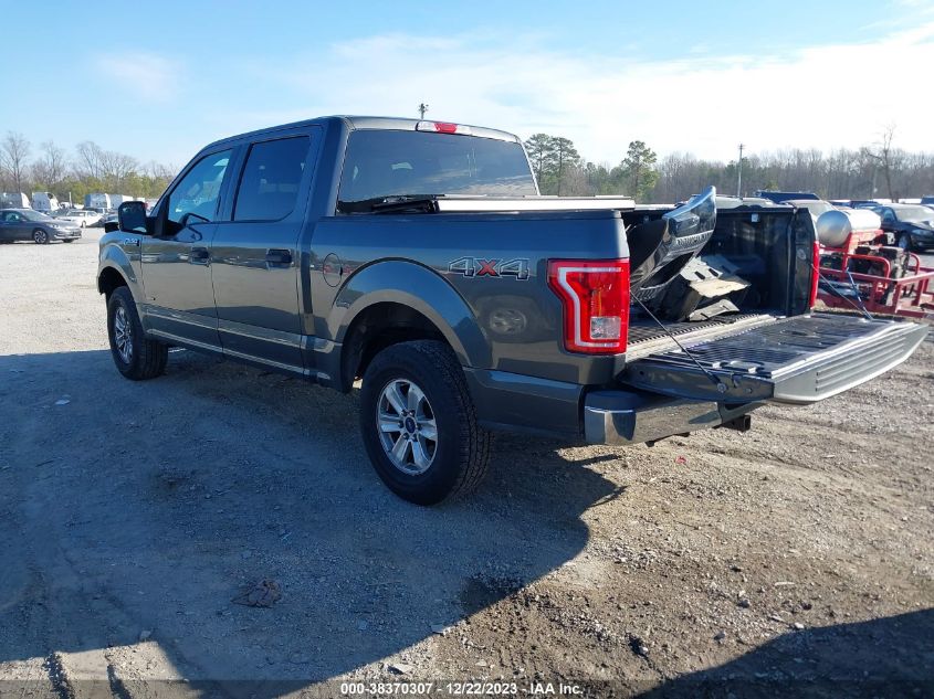 2015 FORD F-150 XLT - 1FTEW1EP1FFB95905