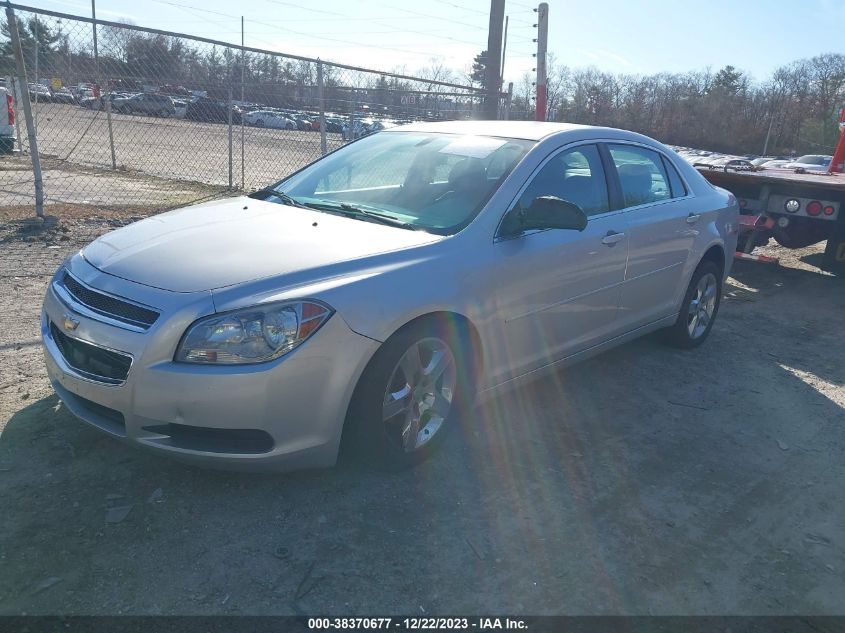 1G1ZB5E1XBF249981 | 2011 CHEVROLET MALIBU