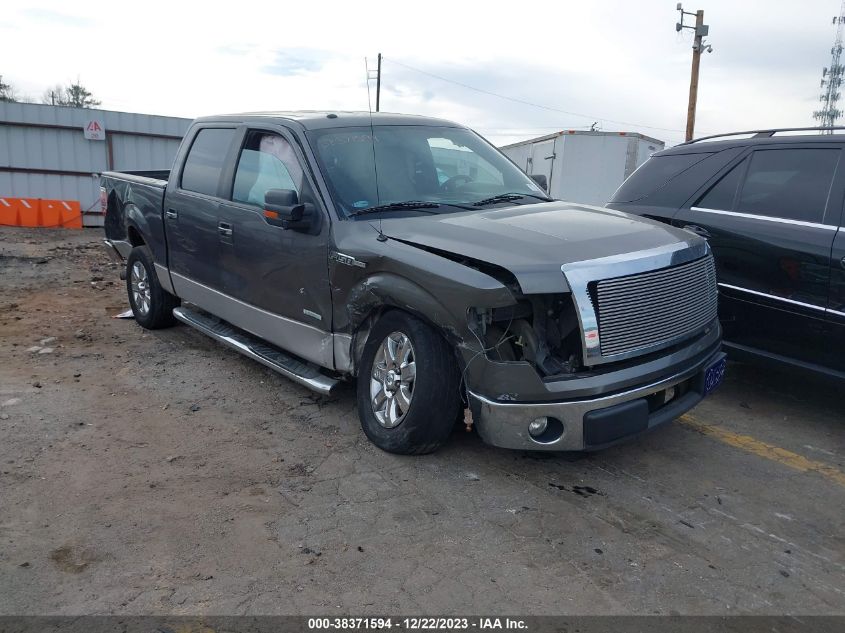 2013 FORD F-150 XLT - 1FTFW1CT1DKD94218