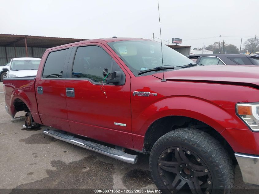 2014 FORD F-150 XLT - 1FTFW1CT7EKE88850