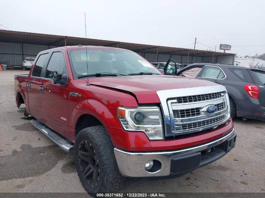 2014 FORD F-150 XLT - 1FTFW1CT7EKE88850