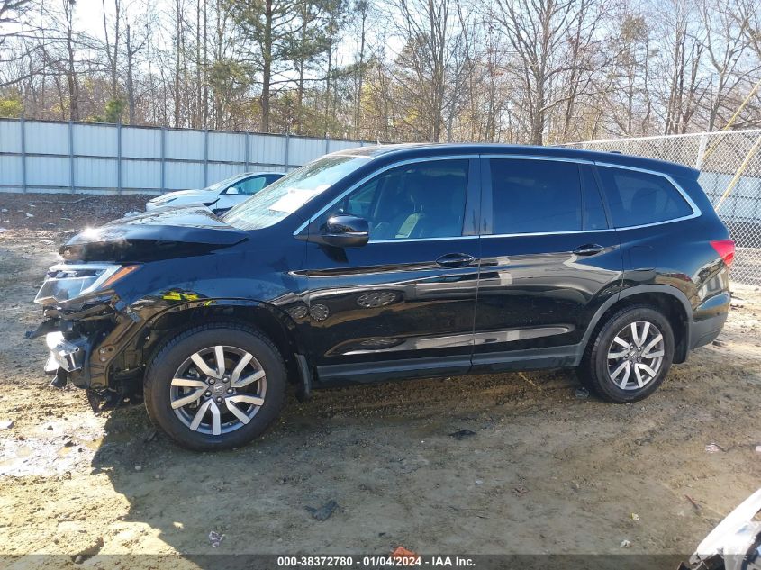 2019 HONDA PILOT EX-L - 5FNYF5H55KB044272