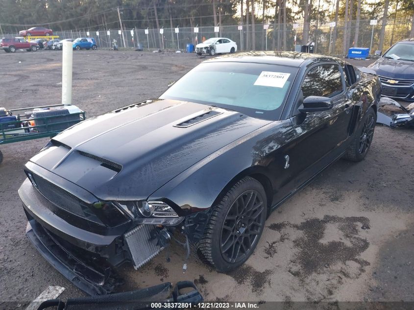 2013 FORD SHELBY GT500 - 1ZVBP8JZ1D5254208