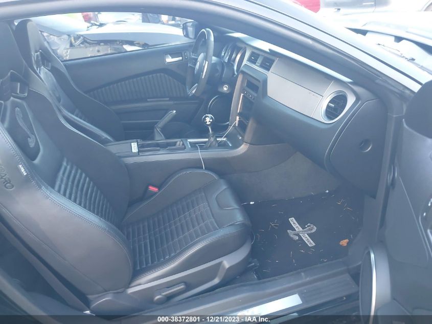 2013 FORD SHELBY GT500 - 1ZVBP8JZ1D5254208