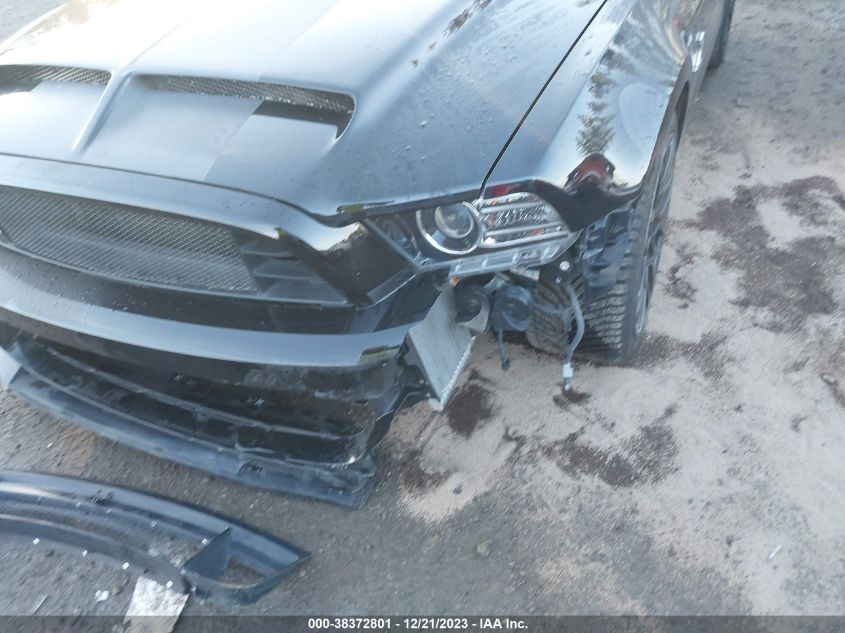 2013 FORD SHELBY GT500 - 1ZVBP8JZ1D5254208