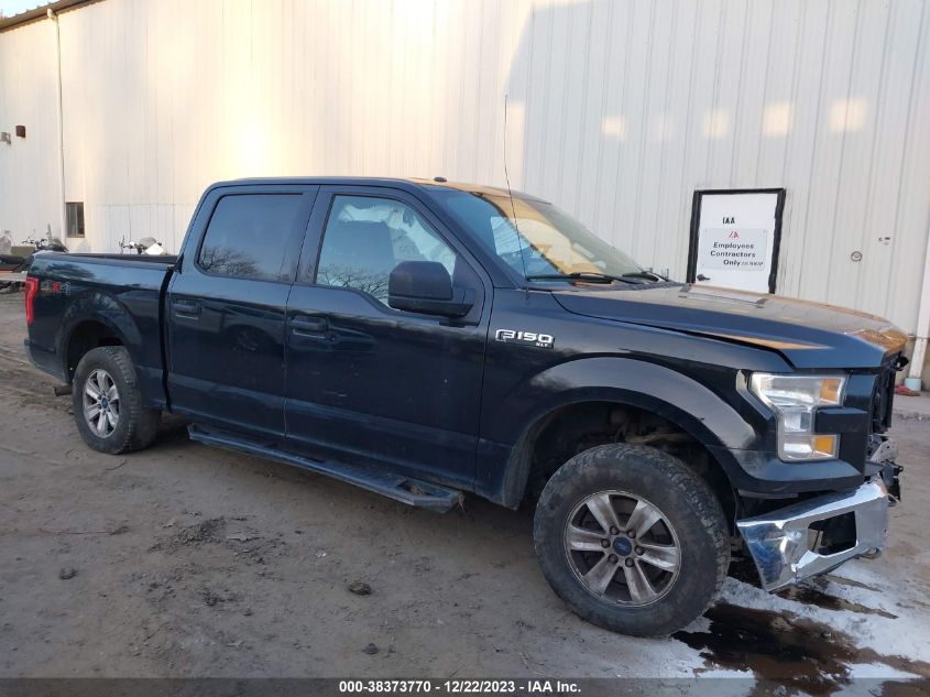 2015 FORD F-150 XLT - 1FTEW1EF9FKD45760