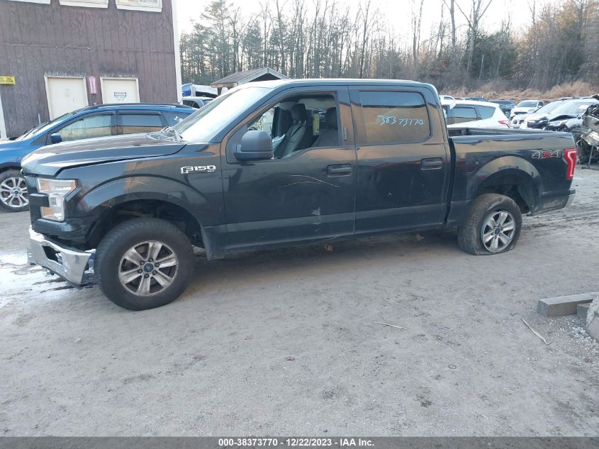 2015 FORD F-150 XLT - 1FTEW1EF9FKD45760