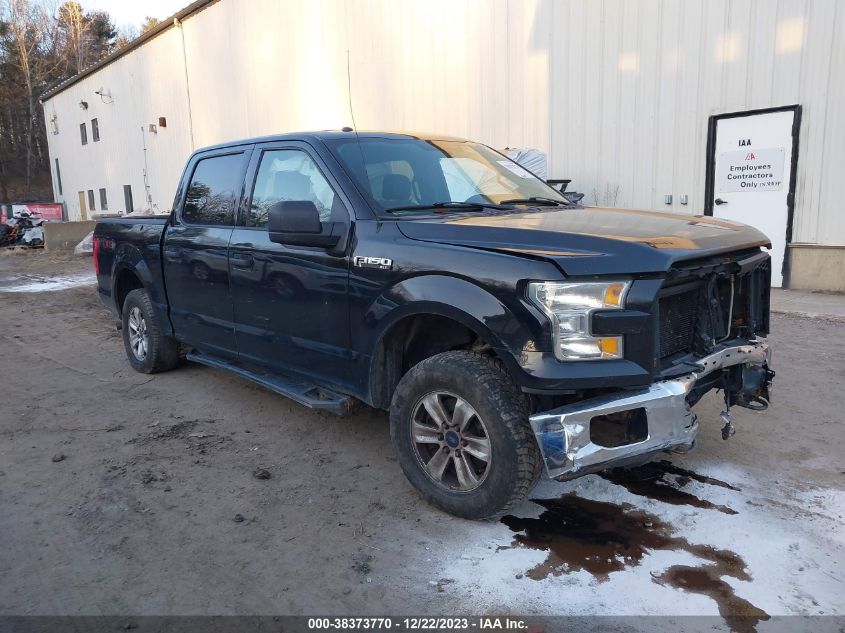 2015 FORD F-150 XLT - 1FTEW1EF9FKD45760