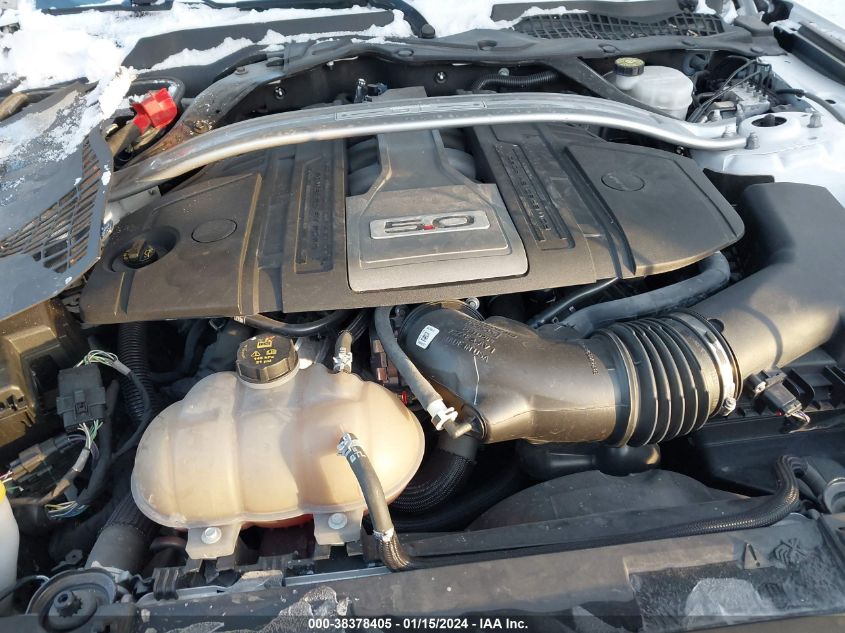 2019 FORD MUSTANG GT - 1FATP8FF8K5150257
